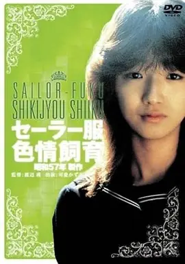 亚洲精品电影在线观看 海岸线的第七封信 海报